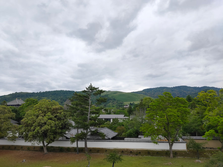 奈良公園バスターミナルの屋上庭園から望む景色(若草山、東大寺大仏殿の屋根など)